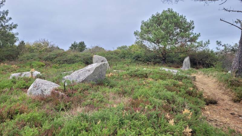 L'alignement du Narbon