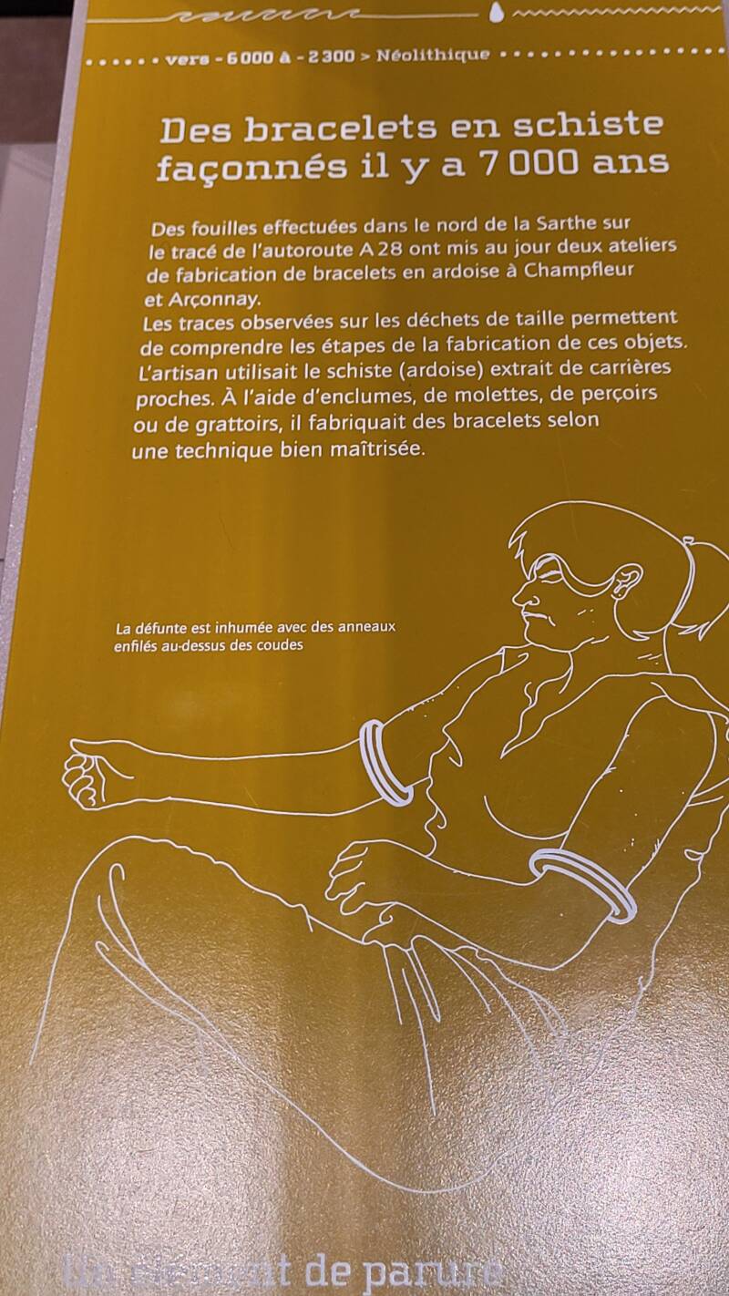 Préhistoire et protohistoire au musée archéologique du Mans