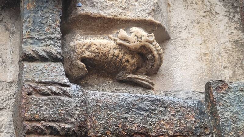 La chouette de Dijon