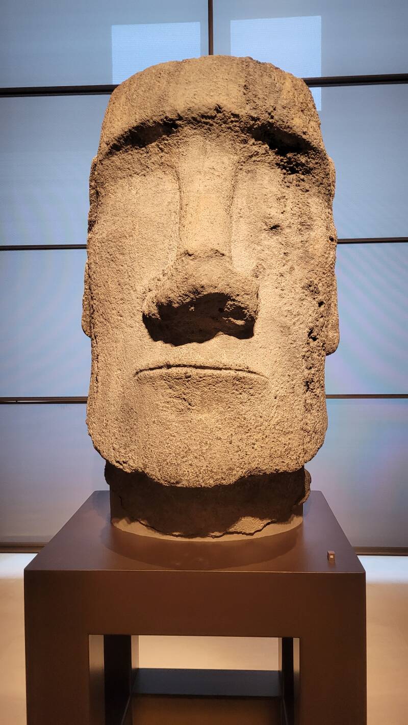 La toute nouvelle Galerie des Cinqs Continents