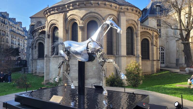 Zeus, le cheval emblématique des JO 2024