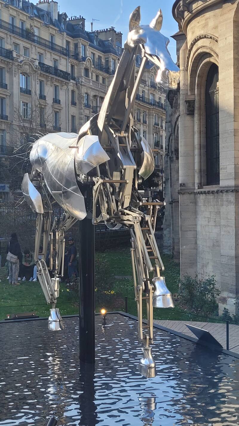 Zeus, le cheval emblématique des JO 2024