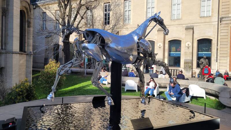 Zeus, le cheval emblématique des JO 2024