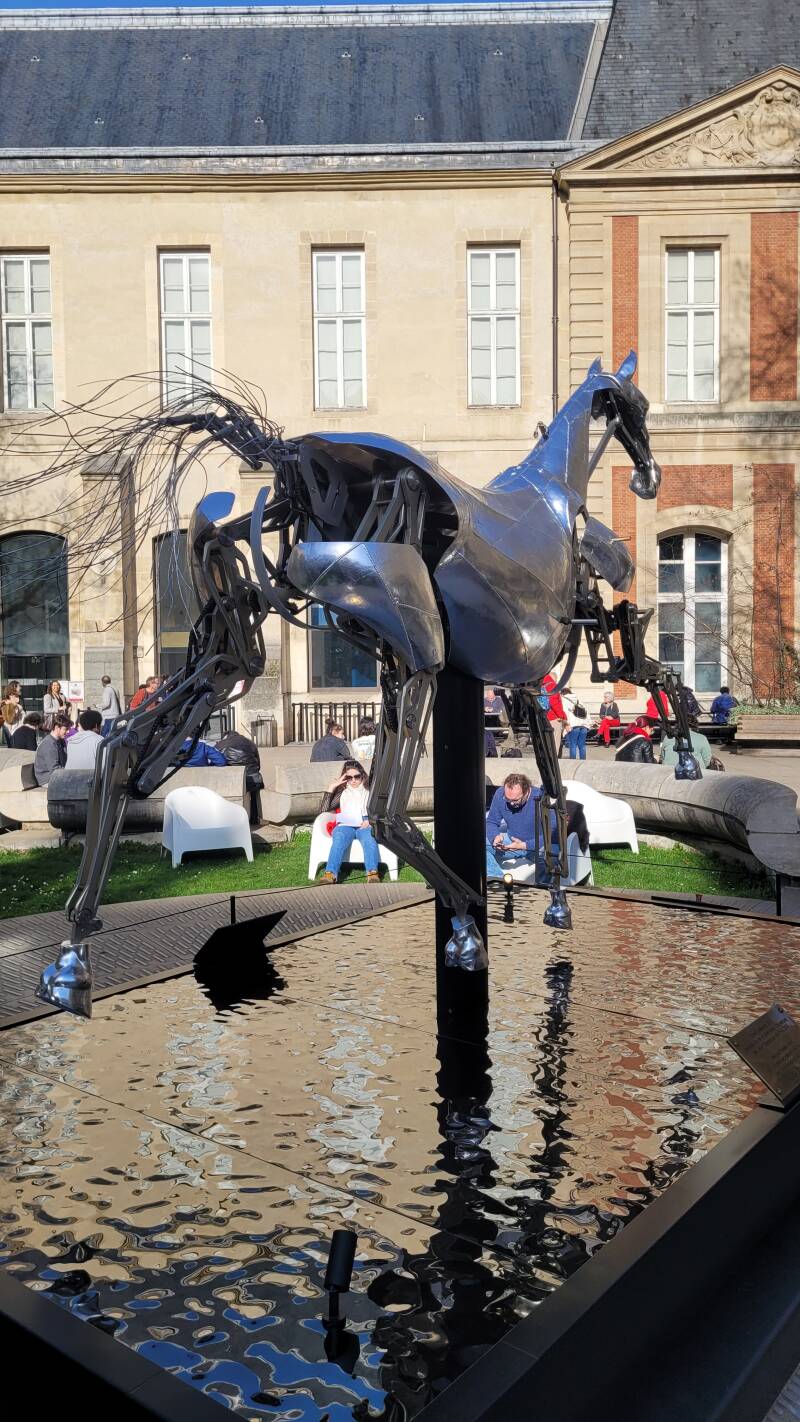 Zeus, le cheval emblématique des JO 2024