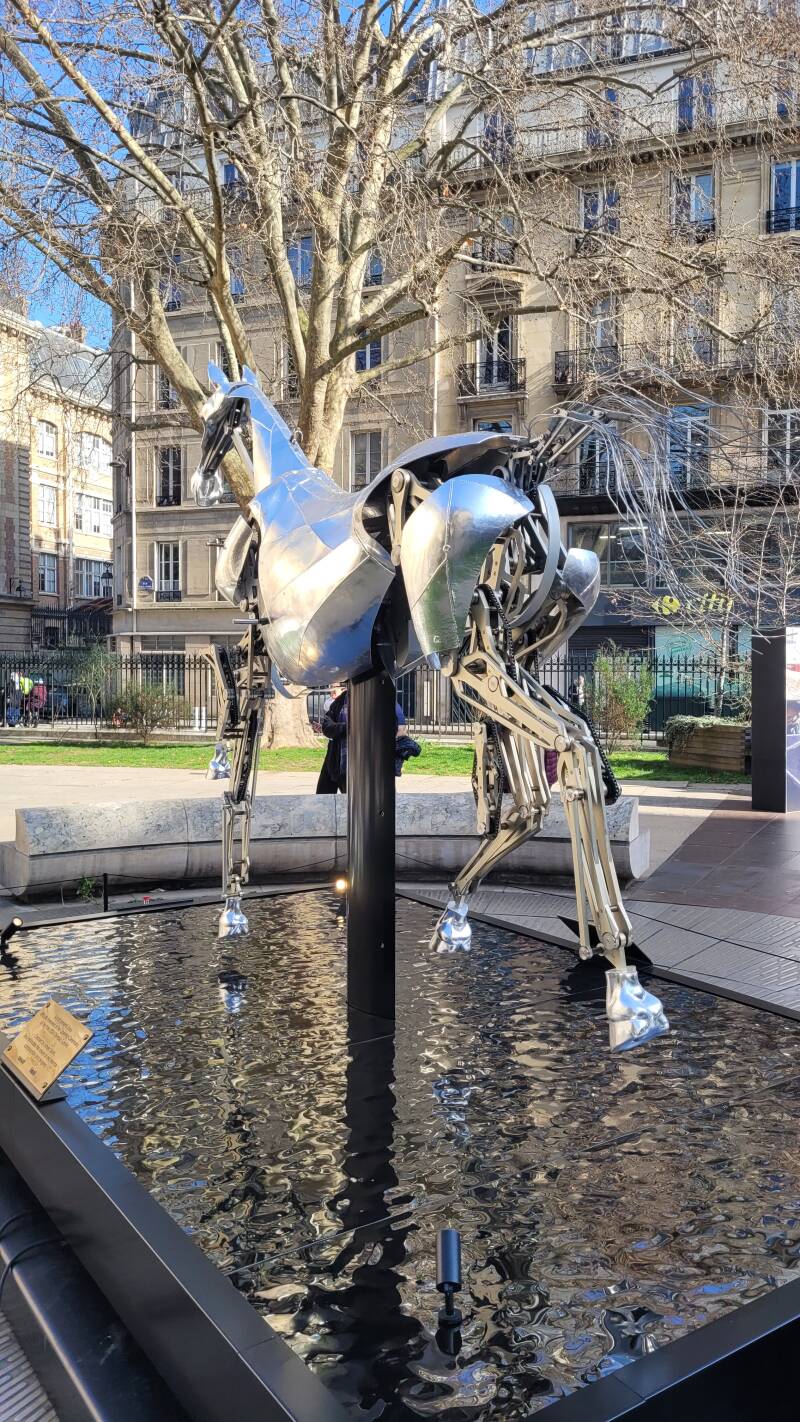 Zeus, le cheval emblématique des JO 2024