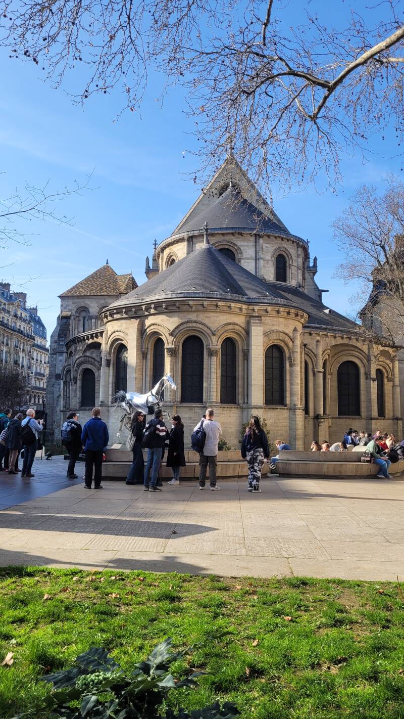 Zeus, le cheval emblématique des JO 2024