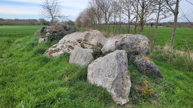L'allée couverte de la Hautière, appelée aussi le Tombeau