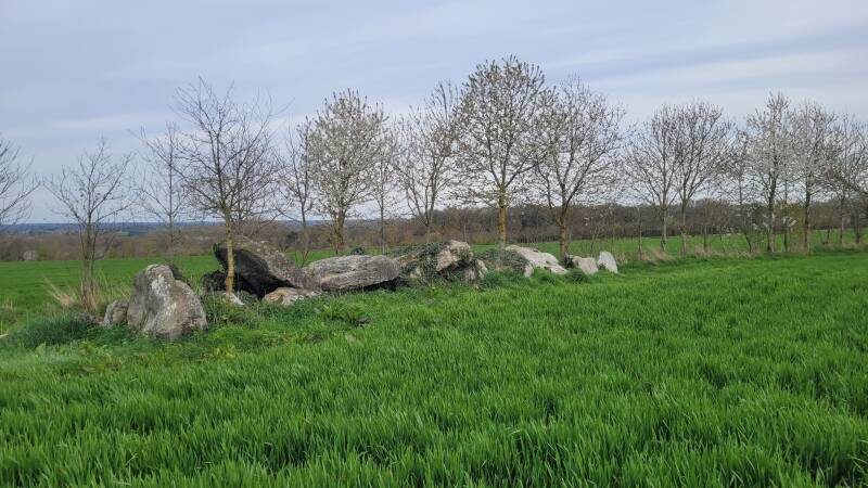 L'allée couverte de la Hautière, appelée aussi le Tombeau