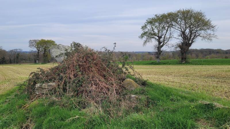 Dolmen de la Ville Tinguy