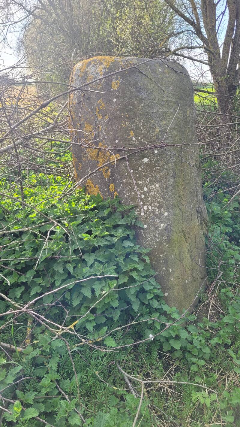 Le menhir de Launay-Trégon