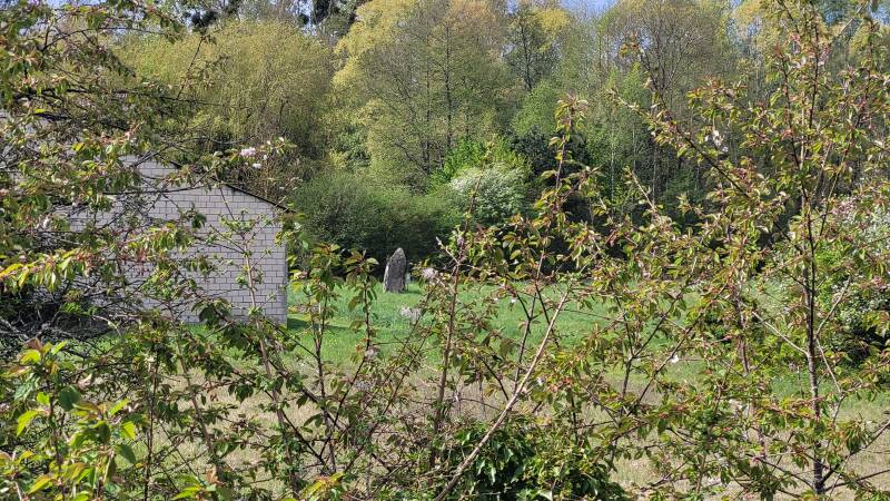 Le menhir de la Pierre aux Sorciers