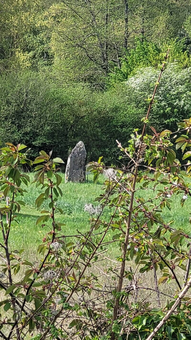 Le menhir de la Pierre aux Sorciers