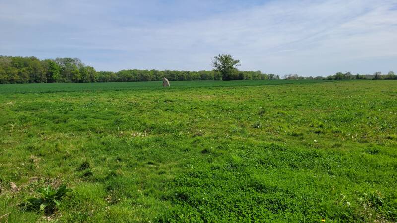 La Pierre Pointe à Montacher-Villegardin