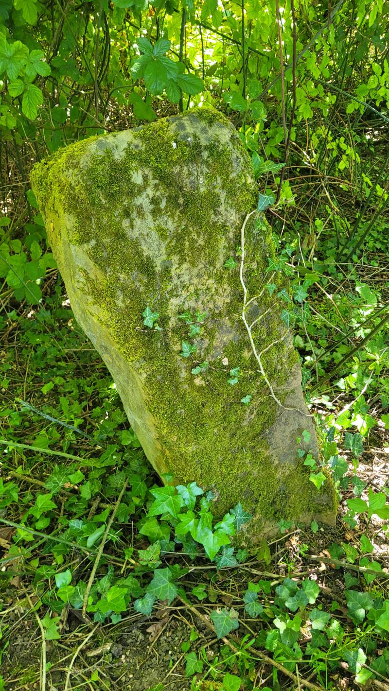Alignement des Sept Grès à Montereau