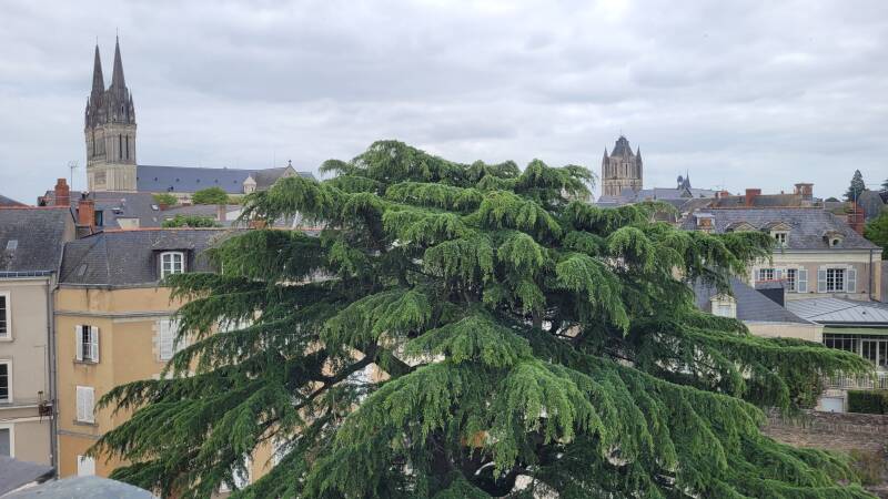 Abbaye Saint-Aubin d'Angers