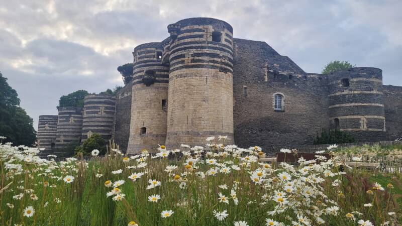 Le château d'Angers