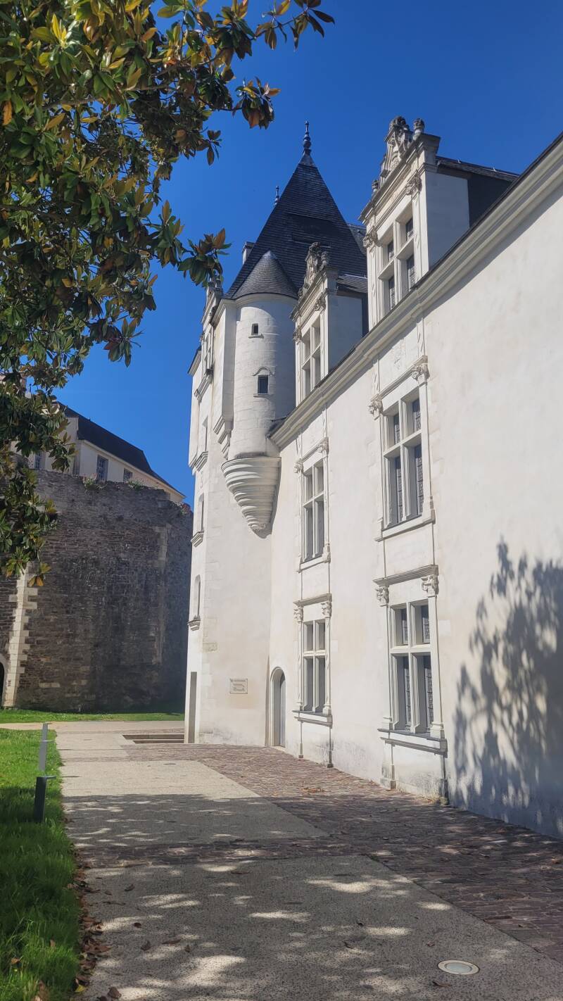 Le château d'Ancenis 