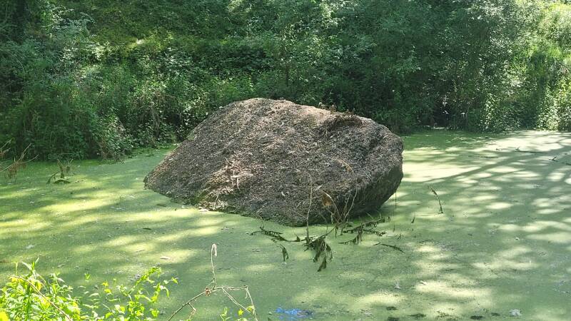 Le dolmen de la Pierre Couvretière