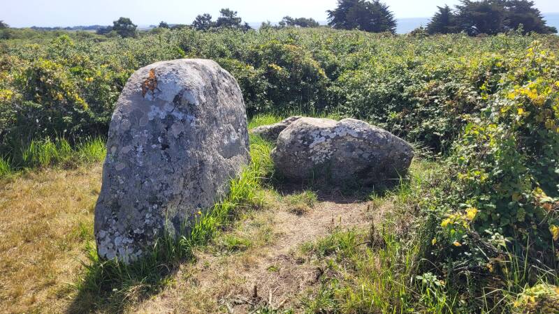 Le menhir des Soux