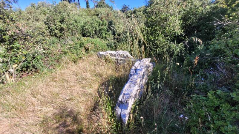 Le Trémureau des Landes