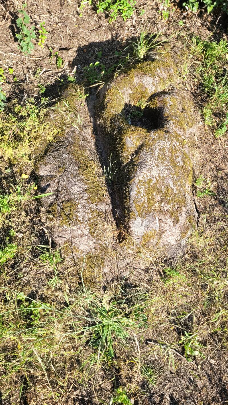 Pierre à bassin de l'Ile d'Yeu