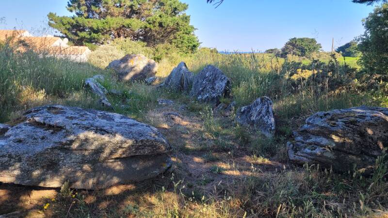 Allée couverte des Tabernaudes