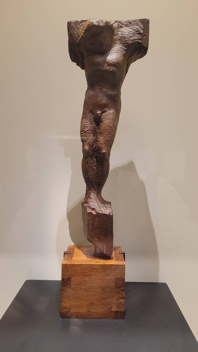 Michel-Ange Rodin - Corps vivants