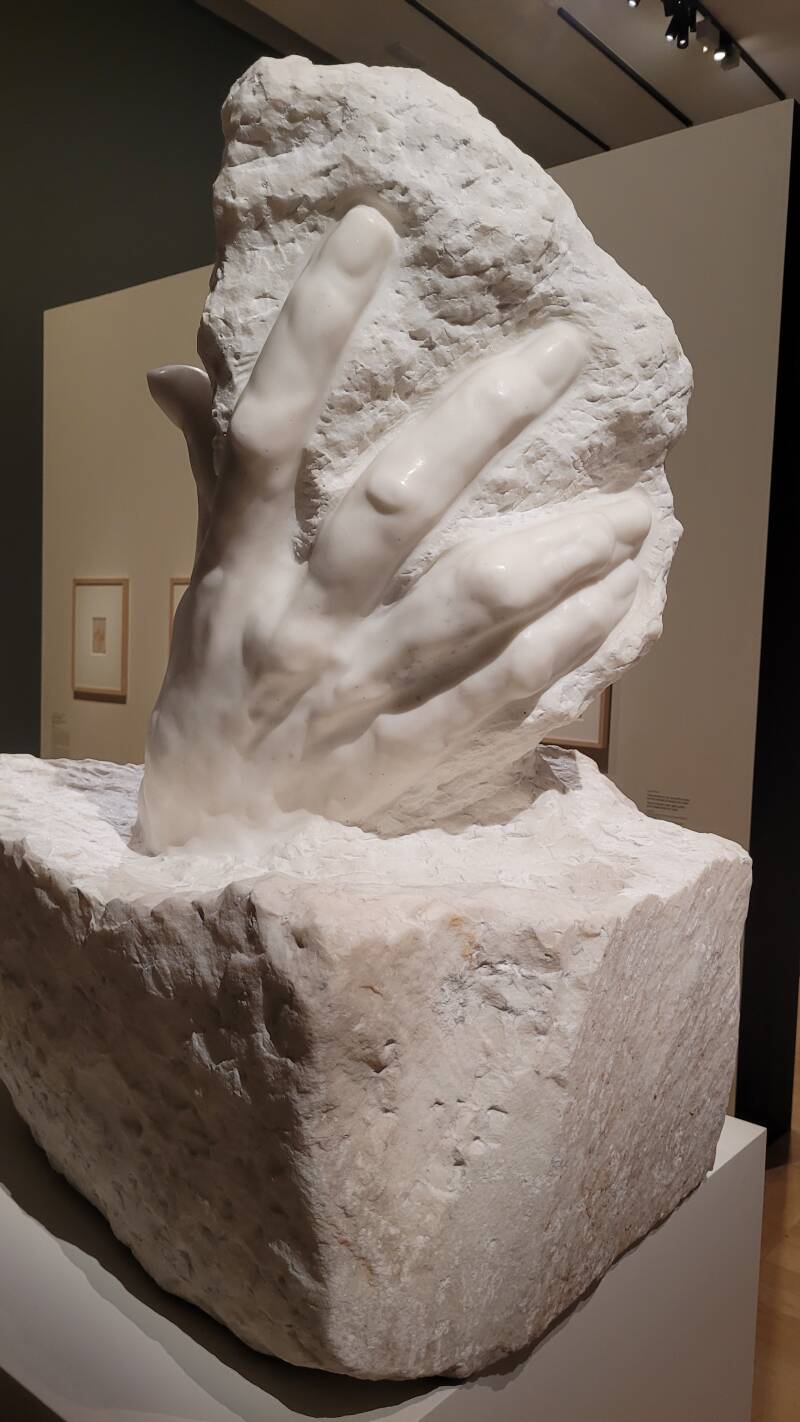 Michel-Ange Rodin - Corps vivants