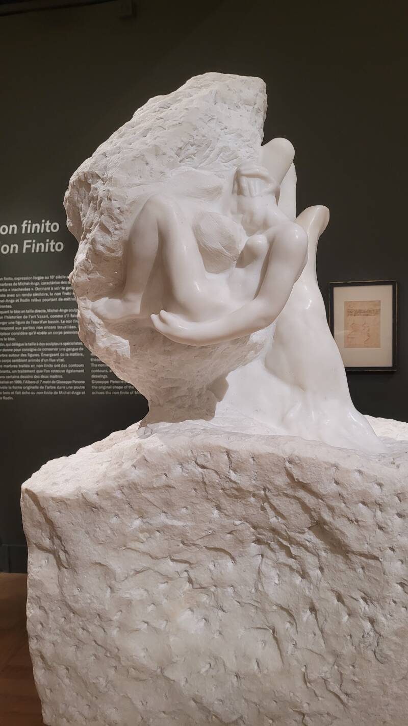 Michel-Ange Rodin - Corps vivants