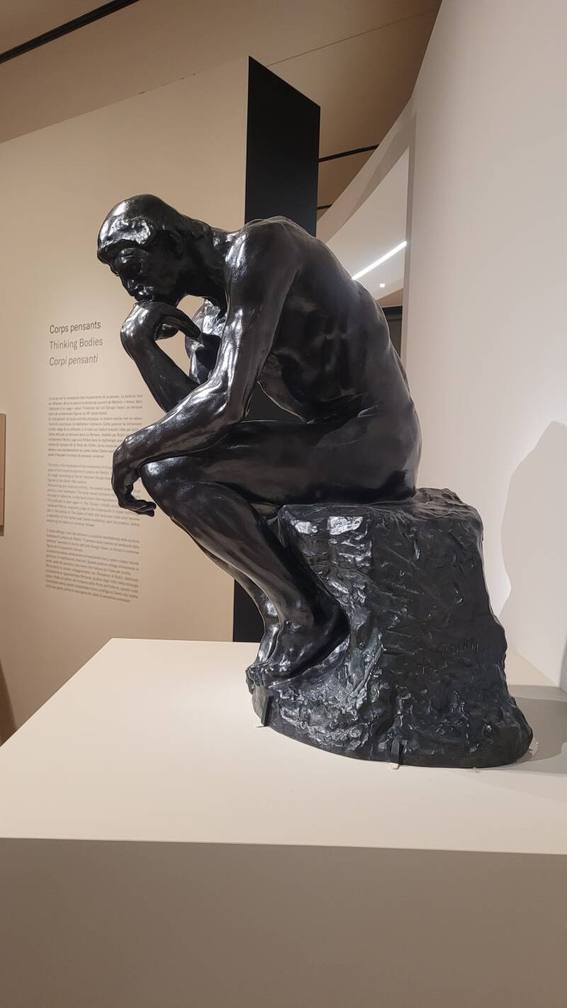 Michel-Ange Rodin - Corps vivants