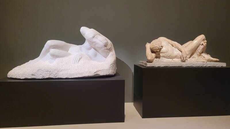 Michel-Ange Rodin - Corps vivants