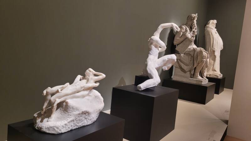 Michel-Ange Rodin - Corps vivants