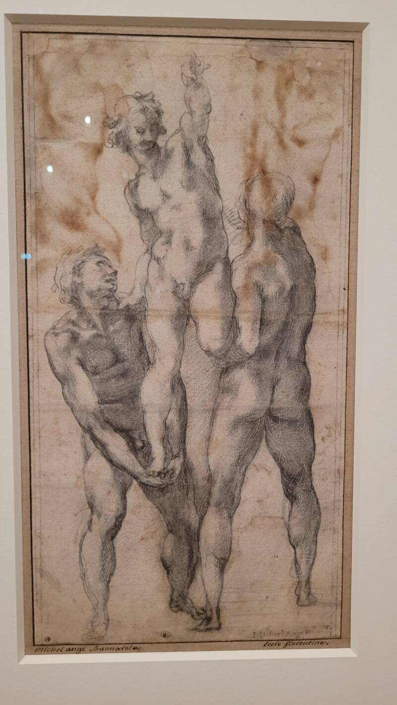 Michel-Ange Rodin - Corps vivants