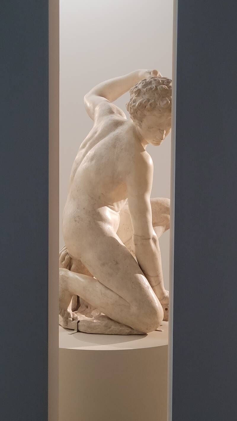 Michel-Ange Rodin - Corps vivants