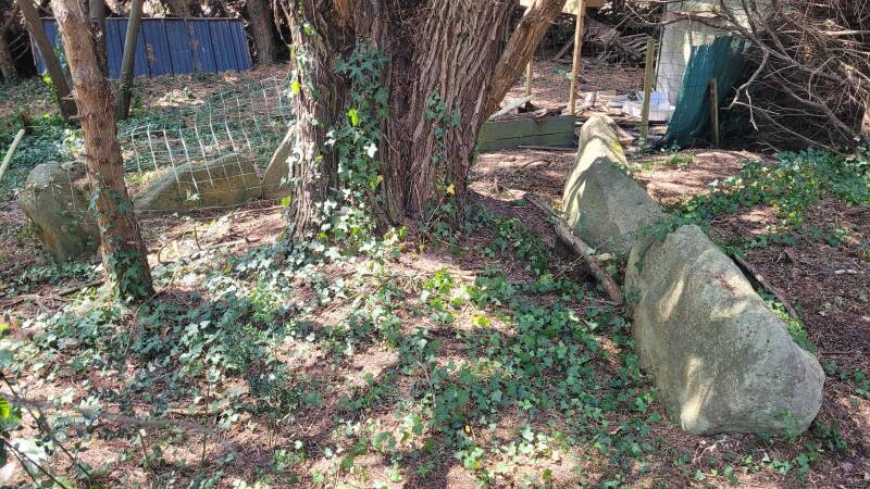 Le dolmen d'Er Le (Kermaillard)