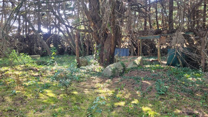 Le dolmen d'Er Le (Kermaillard)