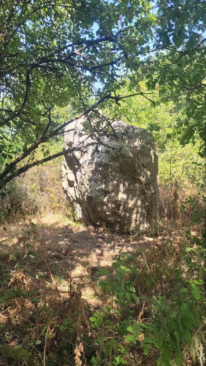 Le menhir de Cohporh