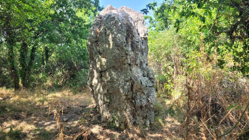 Le menhir de Cohporh