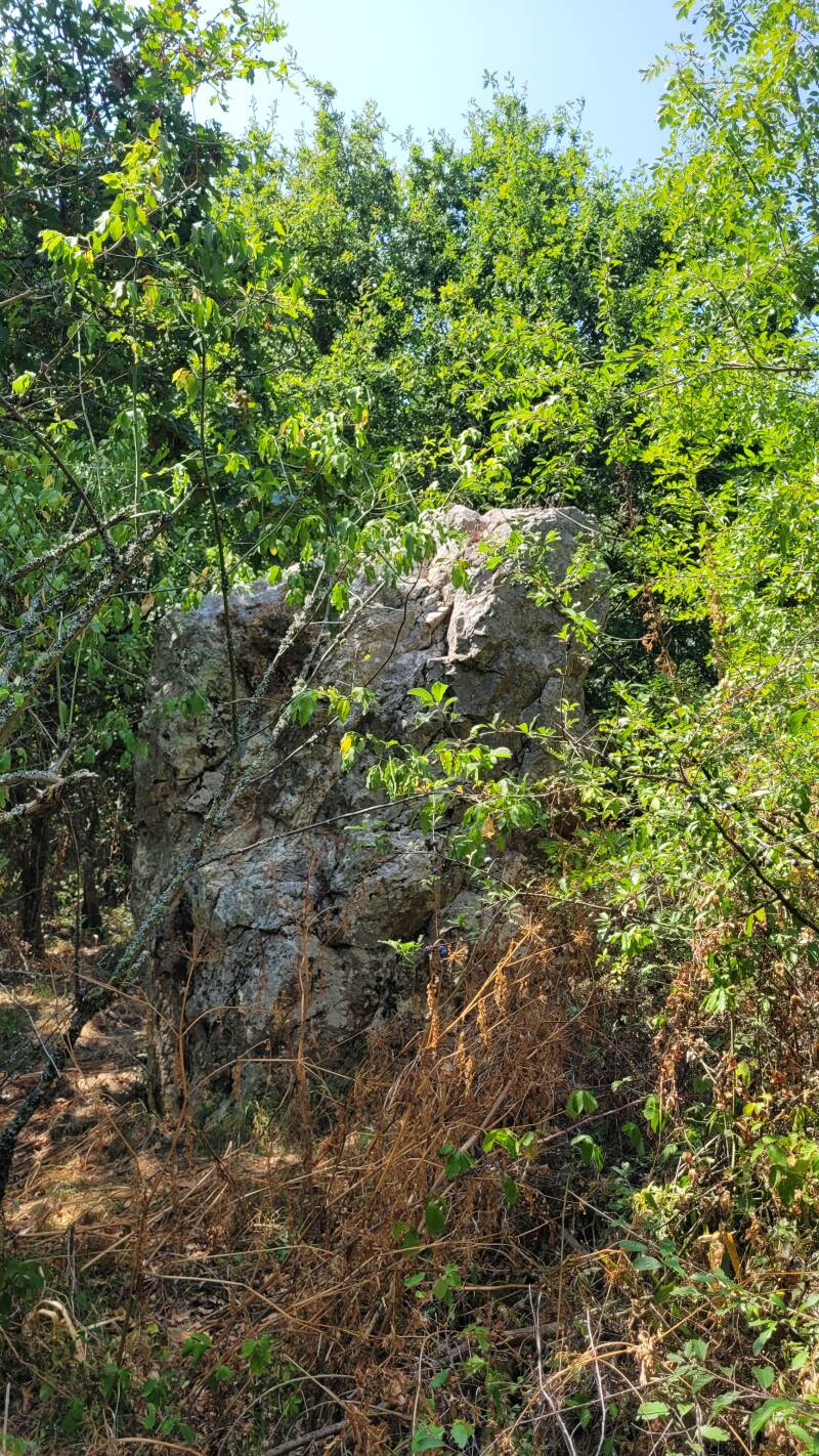 Le menhir de Cohporh