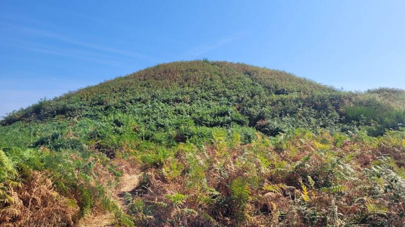 Le tumulus de Tumiac