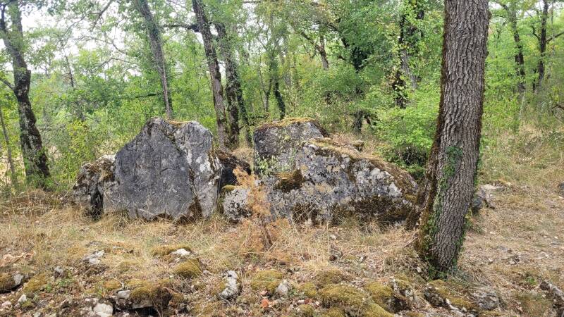 Dolmen du Pech Curet
