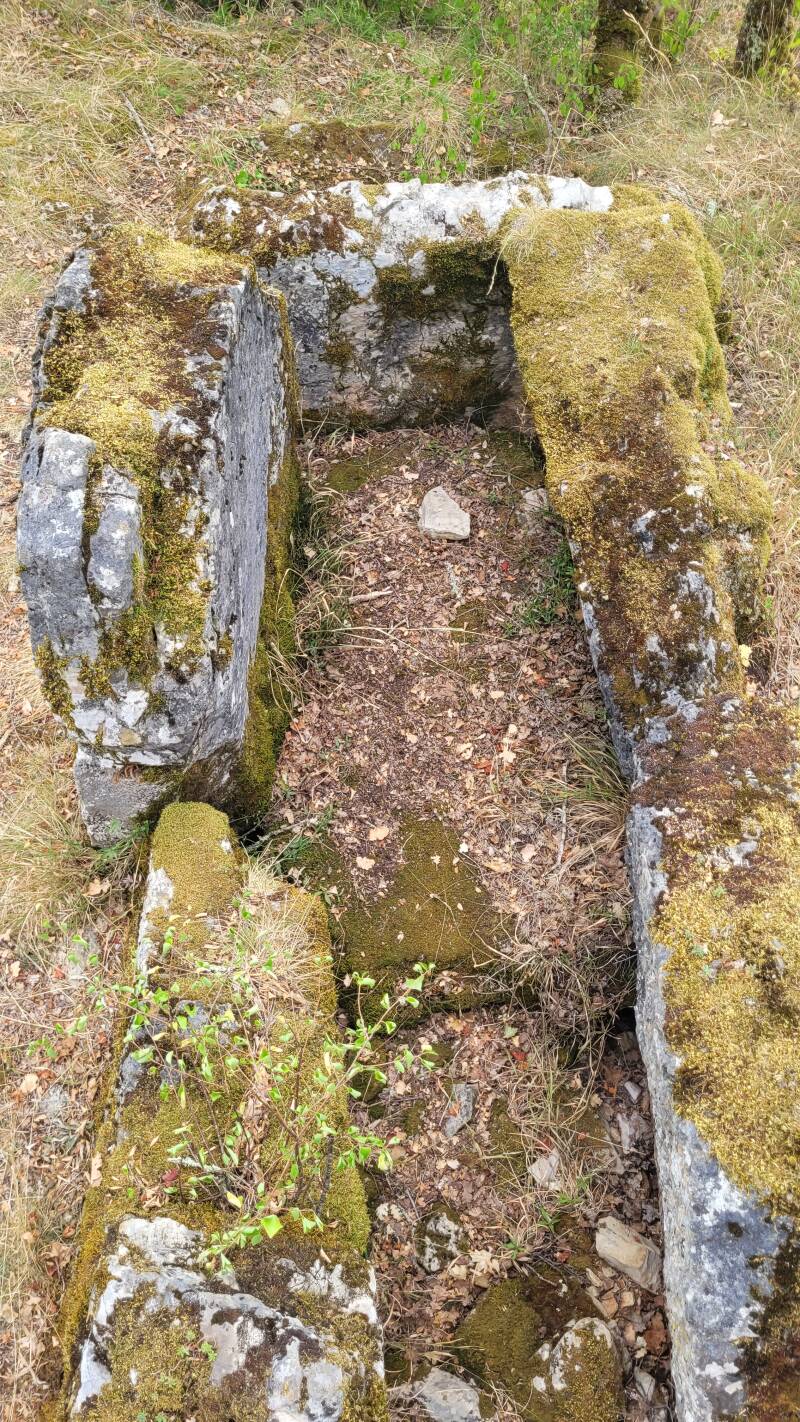 Dolmen du Pech Curet
