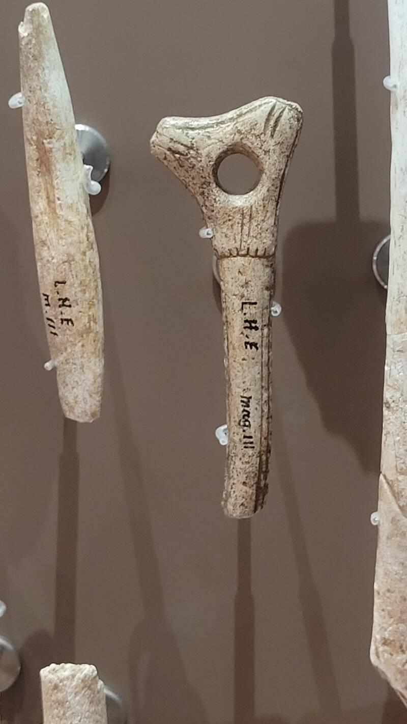 Le musée national de Préhistoire