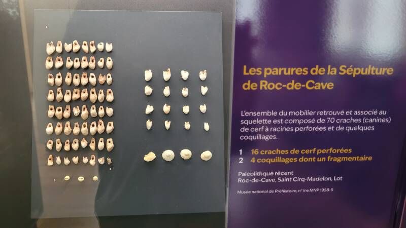 Le musée national de Préhistoire