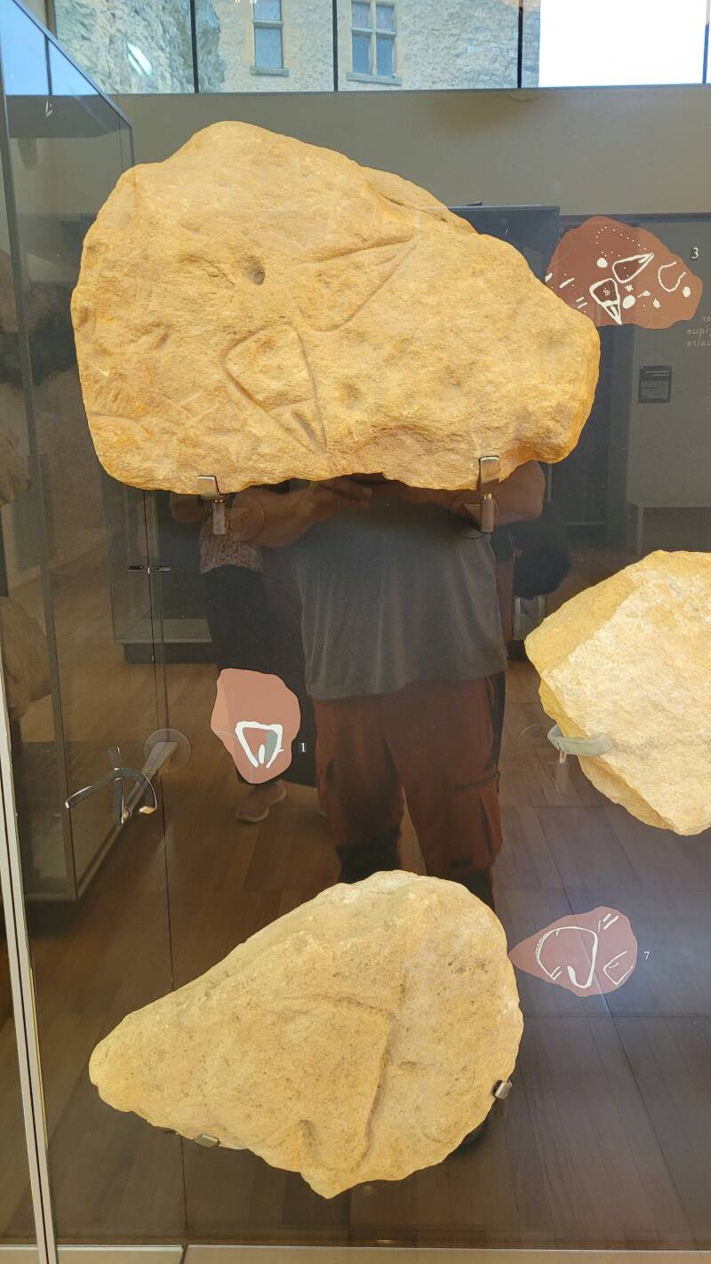 Le musée national de Préhistoire
