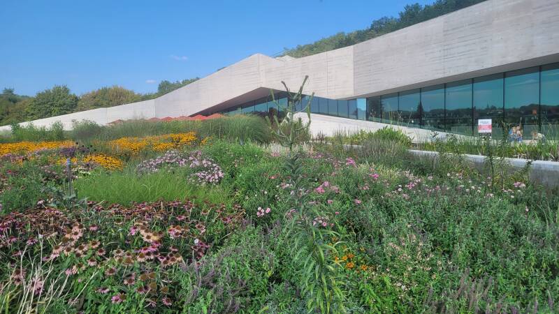 Lascaux, oui mais Lascaux 4