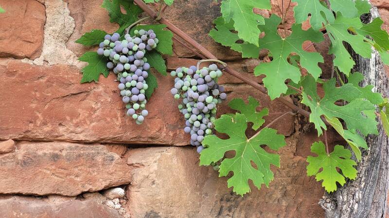 Collonges-la-Rouge
