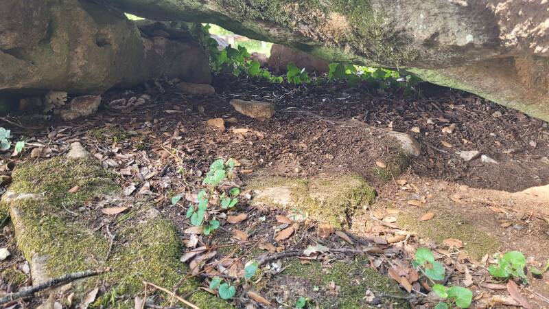 Le dolmen de Giverzac