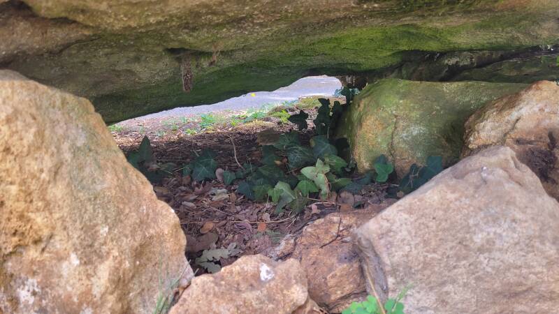 Le dolmen de Giverzac