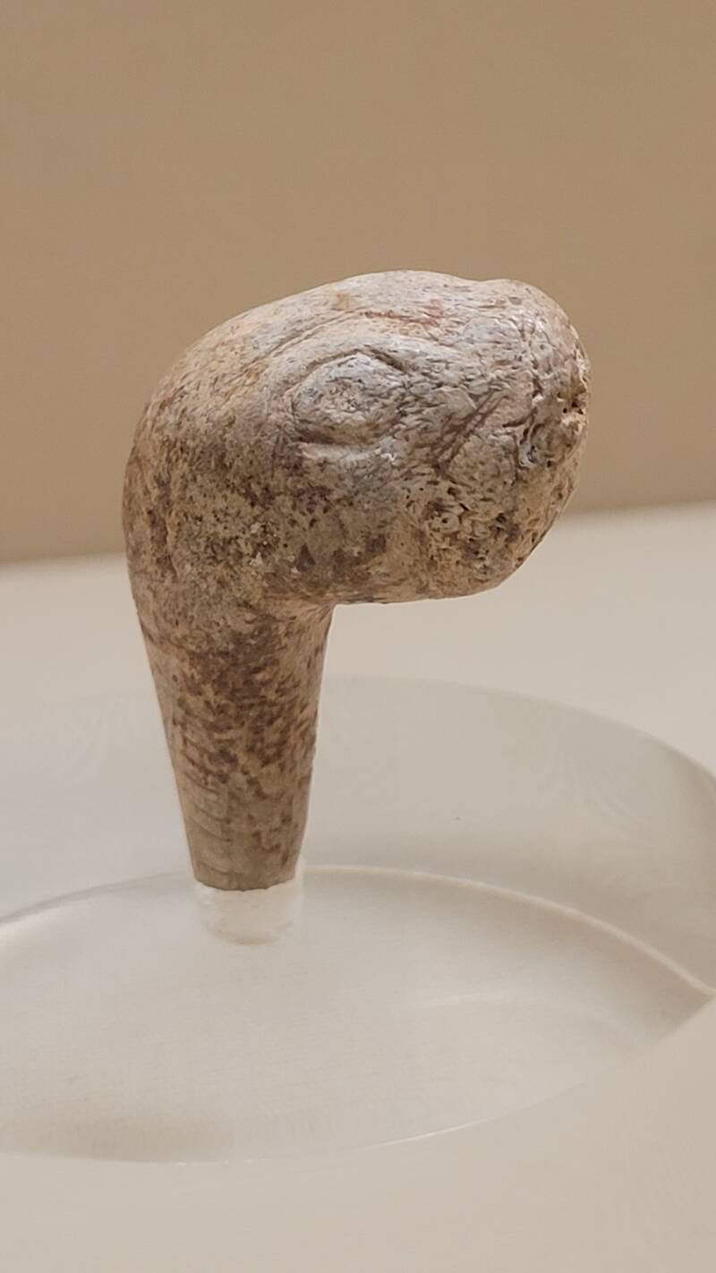 Le Musée archéologique d'Argentomagus